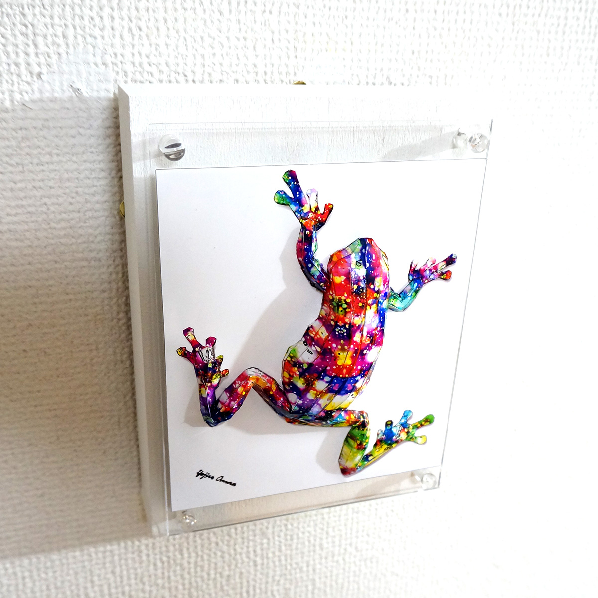 煌めくカエルは上を目指す - 画像 (6)