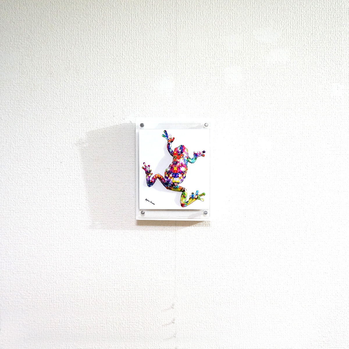 煌めくカエルは上を目指す - 画像 (7)