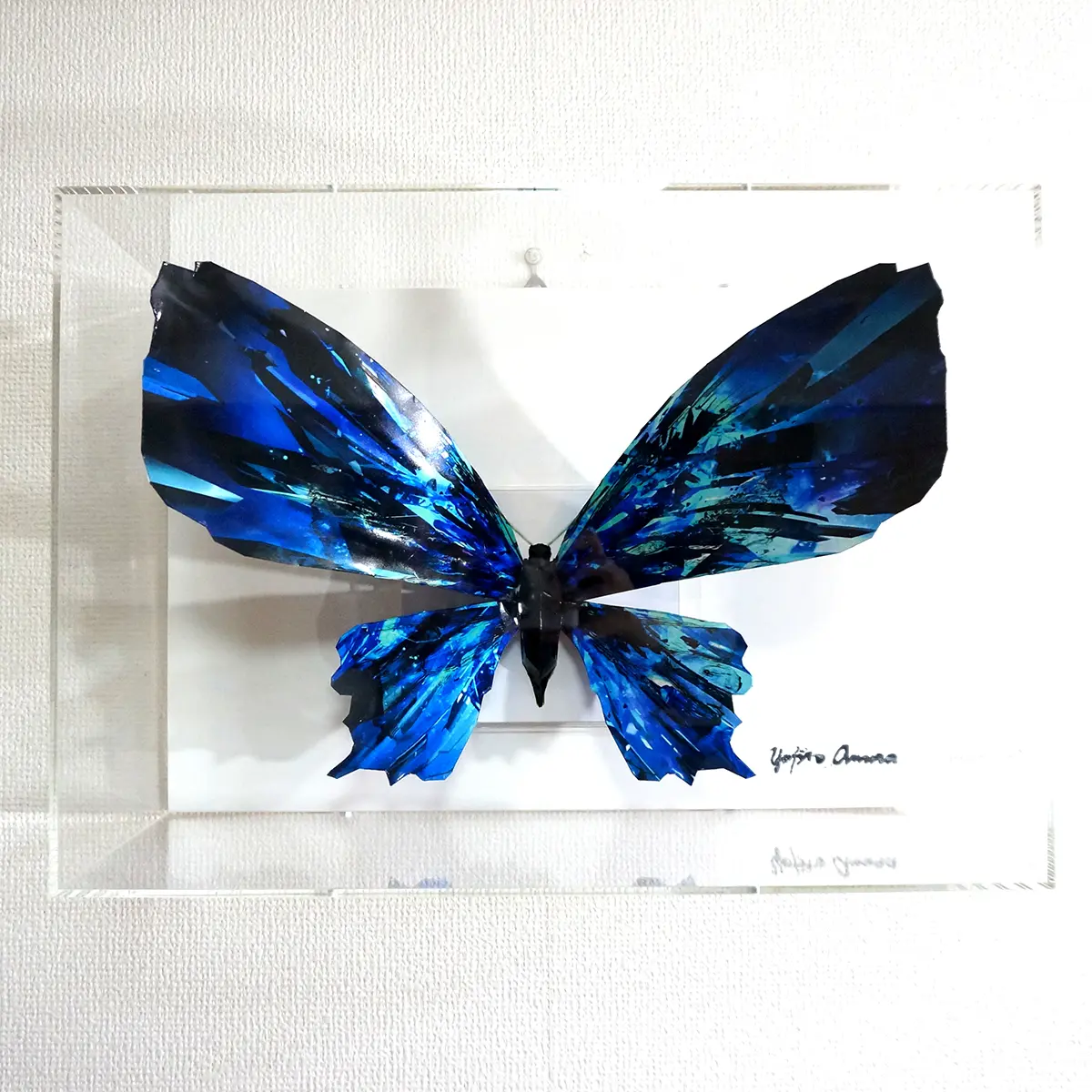 ブルーグラスの蝶は羽を広げる