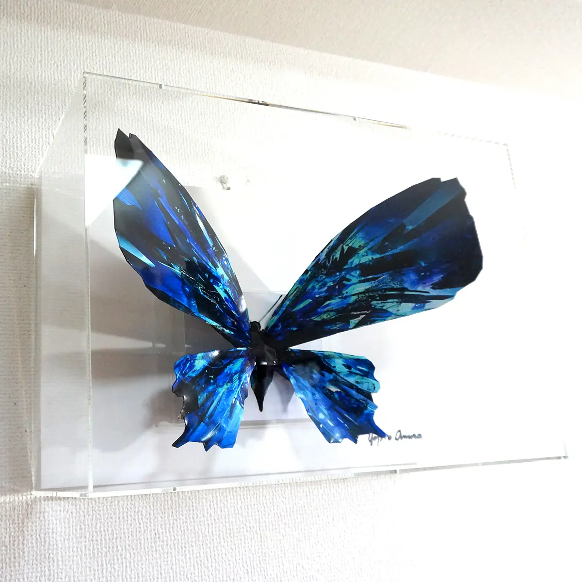 ブルーグラスの蝶は羽を広げる - 画像 (2)