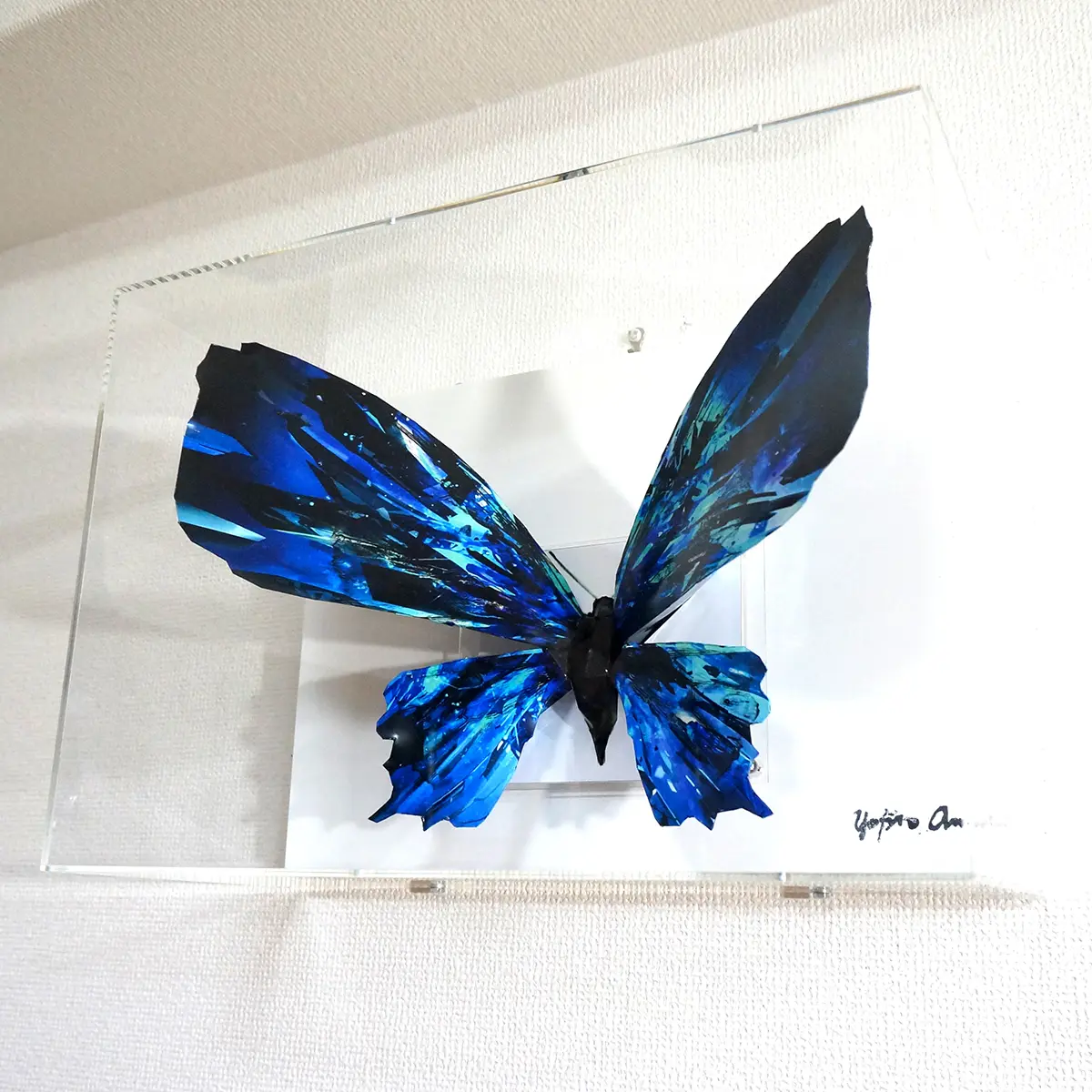 ブルーグラスの蝶は羽を広げる - 画像 (3)