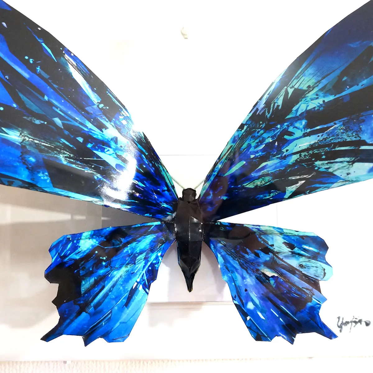 ブルーグラスの蝶は羽を広げる - 画像 (4)