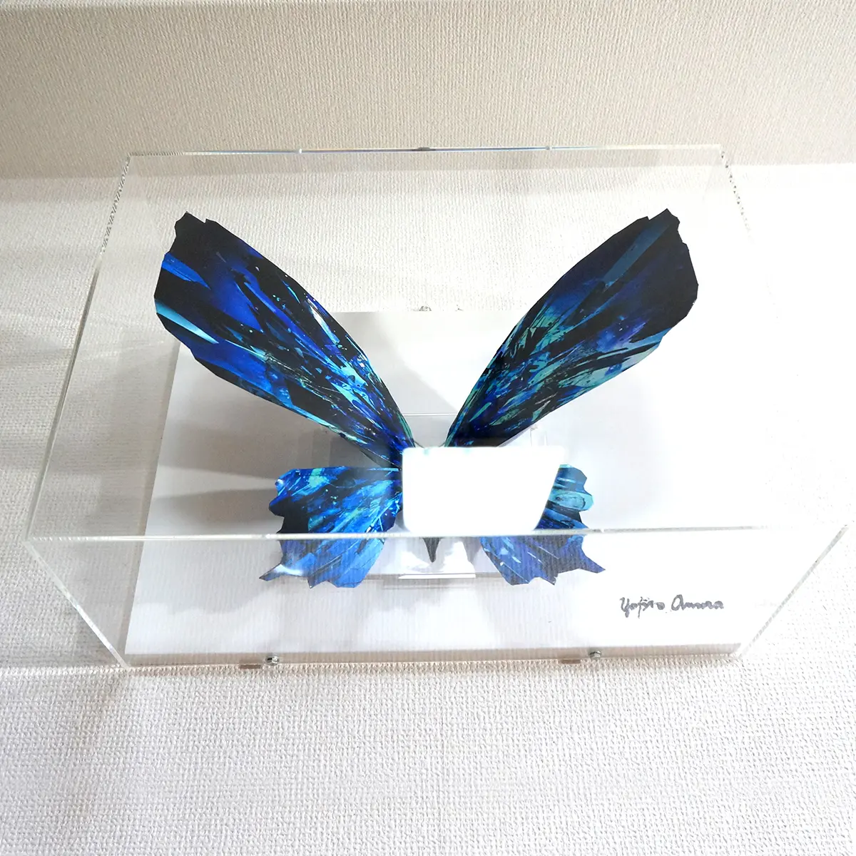 ブルーグラスの蝶は羽を広げる - 画像 (5)