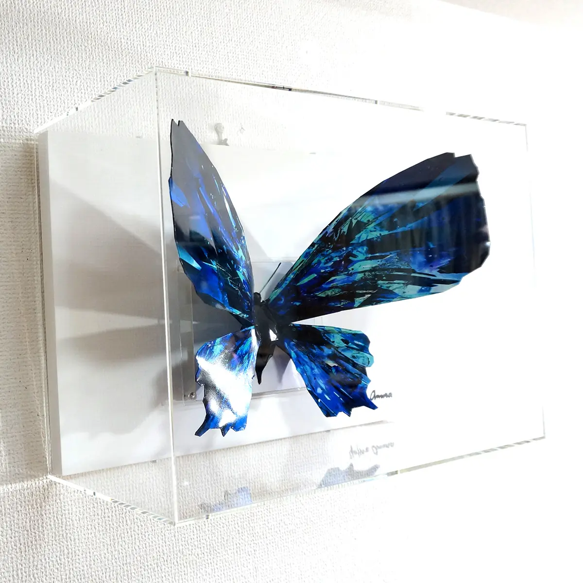 ブルーグラスの蝶は羽を広げる - 画像 (6)