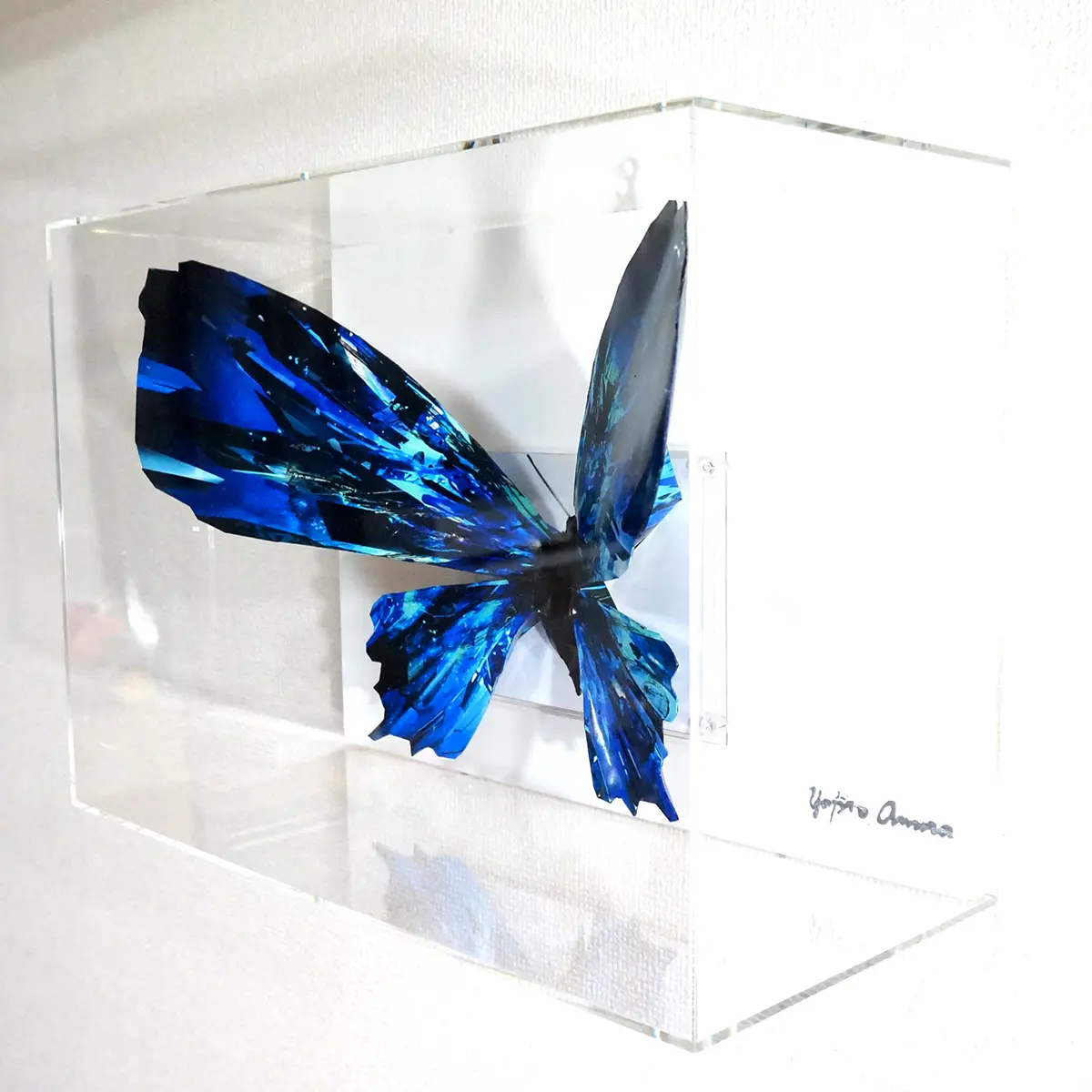 ブルーグラスの蝶は羽を広げる - 画像 (7)